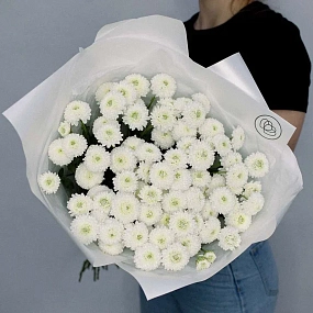 Монобукет  из 25 белых кустовых хризантем