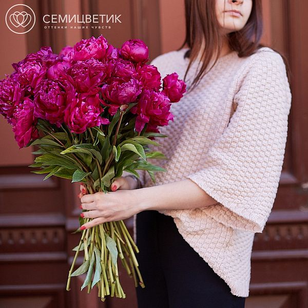 Букет из 25 сливовых пионов Premium