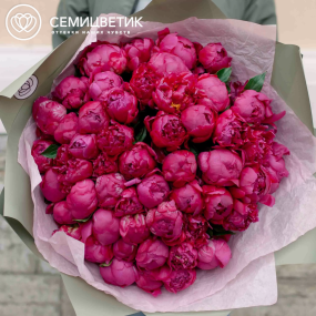 Букет из 51 ярко-розового пиона Standart Plus в зеленой пленке