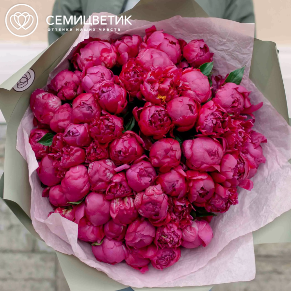 Букет из 51 ярко-розового пиона Standart Plus в зеленой пленке