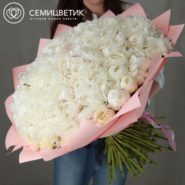 Букет из 101 белого пиона Kelway`s Glorious Premium