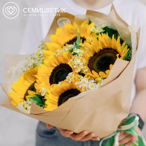 Букет из 5 подсолнухов и 10 матрикарий в упаковке