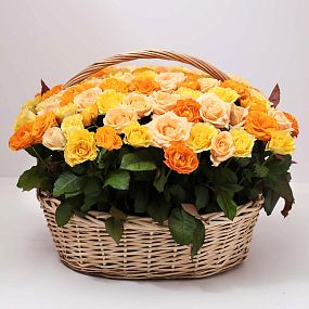 Композиция из 101 оранжевой, желтой и кремовой розы (Россия) в корзине