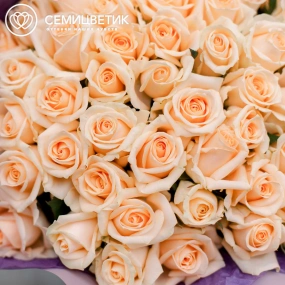 Букет из 51 кремовой розы Пич Аваланш 40 см (Россия) в сиреневой пленке