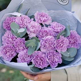 Букет из 15 сиреневых (лунных) гвоздик с эвкалиптом в голубой пленке
