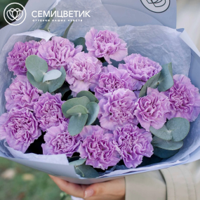 Букет из 15 сиреневых (лунных) гвоздик с эвкалиптом в голубой пленке