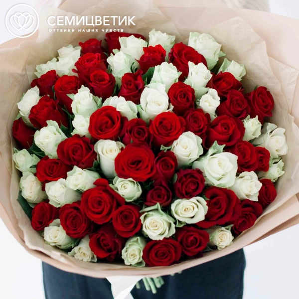 Букет из 75 красных и белых роз 35-40 см (Кения) в кремовой пленке