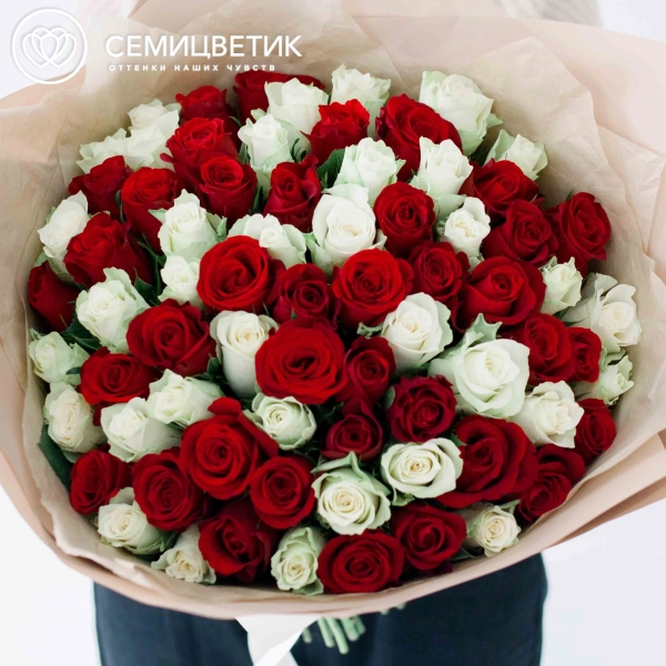 Букет из 75 красных и белых роз 40 см (Кения) в кремовой пленке