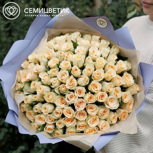 Букет из 101 кремовой розы 35-40 см (Кения) в сиреневой пленке