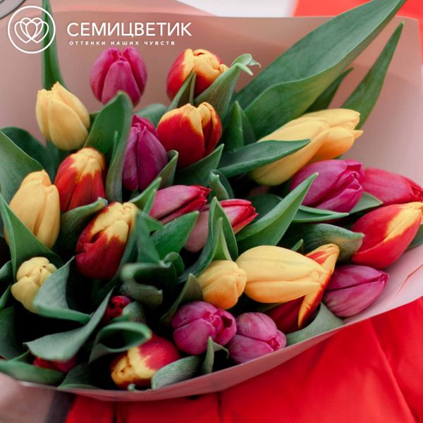 Букет из 25 тюльпанов микс 40 см в розовой пленке