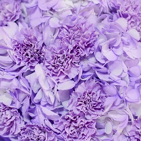 Букет из 3 фиолетовых гортензий и 10 сиреневых гвоздик в розовой пленке