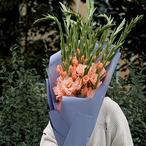 Букет из 11 коралловых гладиолусов