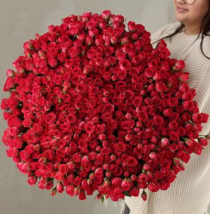 Букет из 151 малиновой кустовой розы 50 см (Россия)