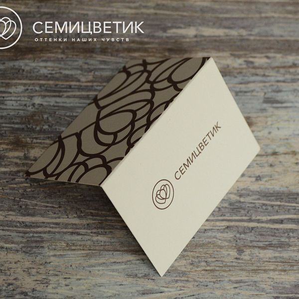 Суккулент поштучно