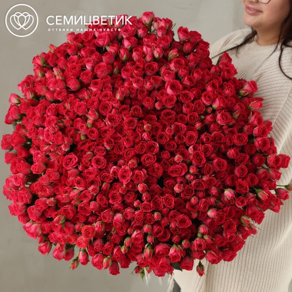 Букет из 151 малиновой кустовой розы 40-50 см (Россия)