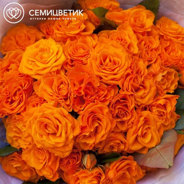 Букет из 35 оранжевых роз 35-40 см (Россия)