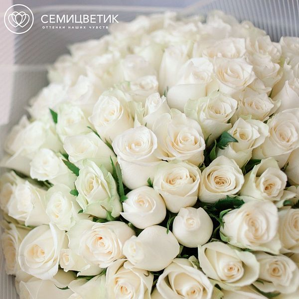 Букет из 101 белой розы 40 см (Кения) Premium в дизайнерской пленке