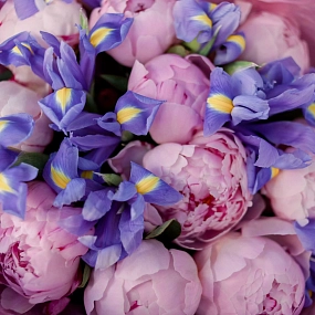 Букет из 10 розовых пионов Premium и 15 синих ирисов в сиреневой пленке
