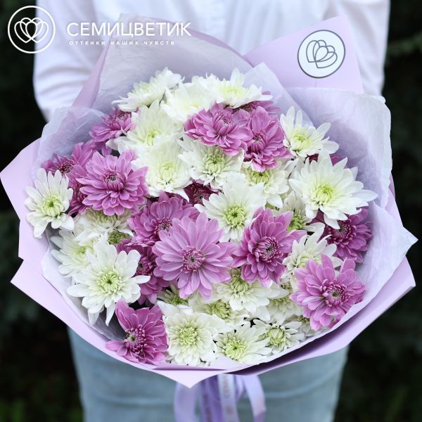 Букет из 11 белых и розовых кустовых хризантем