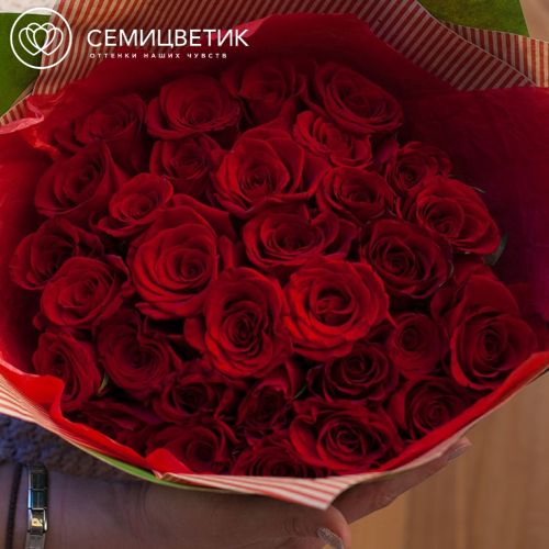Букет из 35 красных с темной каймой роз (Россия) 40 см
