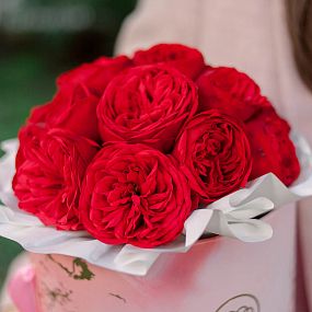 Букет в розовой шляпной коробке Amour Mini из 19 красных пионовидных роз Red Piano