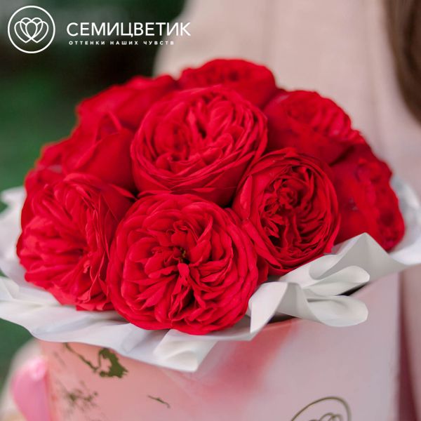 Букет в розовой шляпной коробке Amour Mini из 19 красных пионовидных роз Red Piano