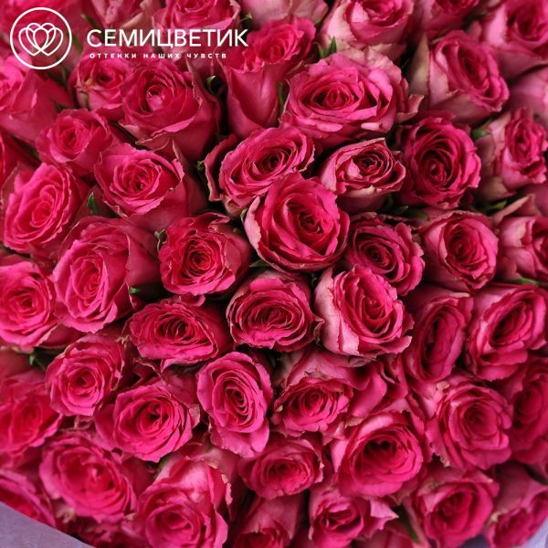Букет из 101 розовой розы 35 см (Кения) в кремовой упаковке