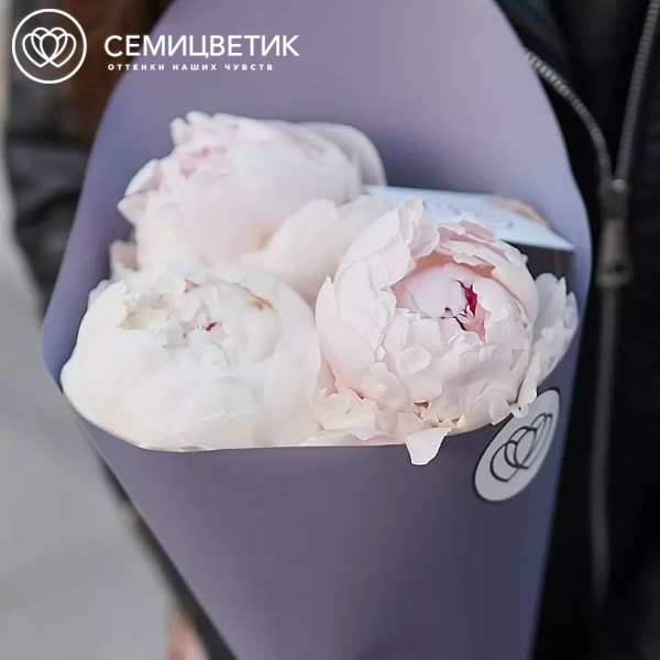 Букет из 3 нежно-розовых пионов Gardenia Premium в сиреневой пленке