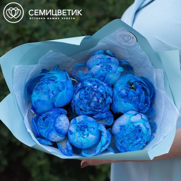Букет из 7 синих пионов Premium