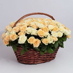 Композиция из 151 белой и кремовой розы (Россия) в корзине