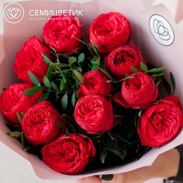 Букет из 11 красных пионовидных роз Red Piano 40 см с фисташкой в розовой пленке