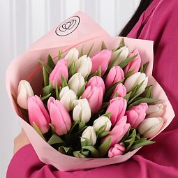 Букет из 25 белого и розового тюльпана в розовой пленке