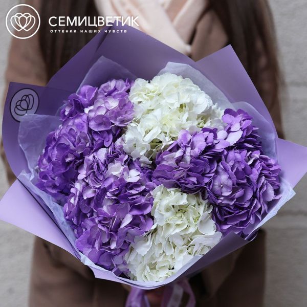Букет из 5 белых и фиолетовых гортензий