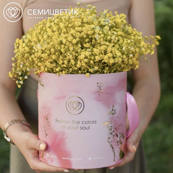 Букет в розовой шляпной коробке Amour Mini из 9 желтых гипсофил