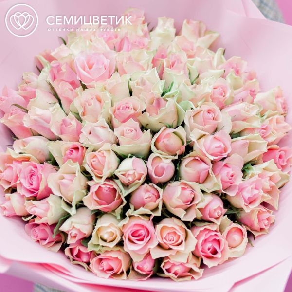 Букет из 51 розовой с фисташковой каймой розы 40 см (Кения)