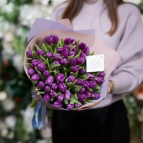 Букет из 51 фиолетового тюльпана в сиреневой пленке