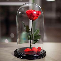 Красная роза в колбе 31 см
