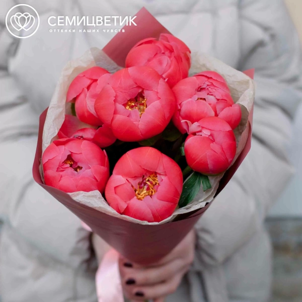 Букет из 7 коралловых пионов Coral Sunset Premium в розовой пленке