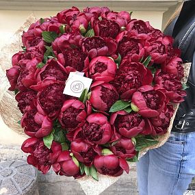 Букет из 51 бордового пиона Premium в упаковке