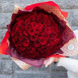 Букет из 101 красной с темной каймой розы Магия 35-40 см (Россия)