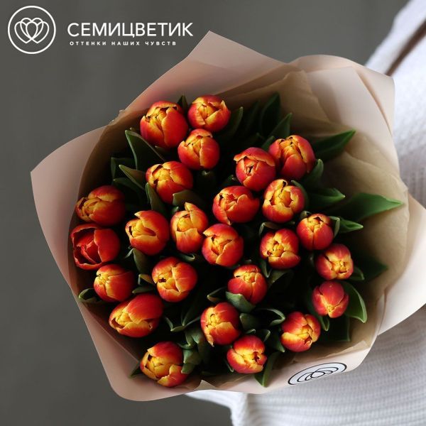 Букет из 25 желто-красных тюльпанов 40 см в кремовой пленке