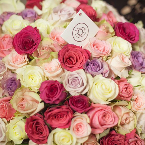 101 роза микс в нежных тонах (Кения) 40 см Premium