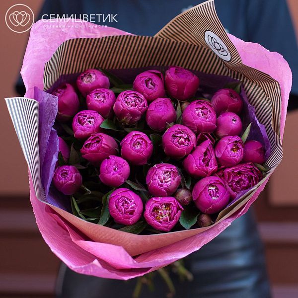 Букет из 25 сливовых пионов Standart