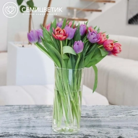 Букет из 25 розовых и сиреневых пионовидных тюльпанов