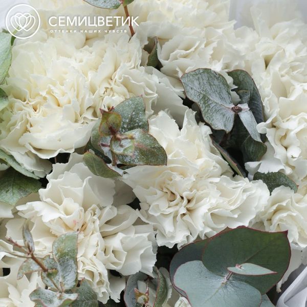 Букет из 15 белых гвоздик с эвкалиптом