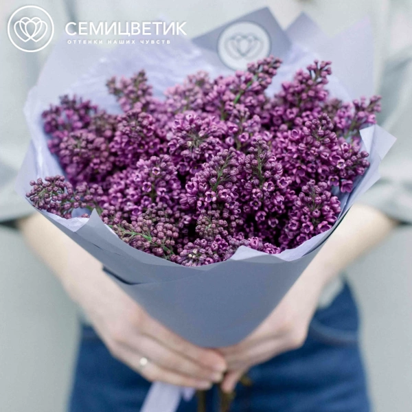 Букет из 15 веток сирени в сиреневой упаковке