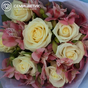 Букет из 7 белых роз 35-40 см (Россия) и 4 розовых альстромерий в голубой пленке
