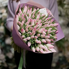 Букет из 101 нежно-розового тюльпана в розовой пленке