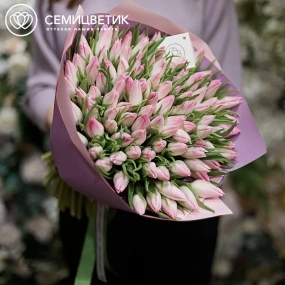 Букет из 101 нежно-розового тюльпана в розовой пленке