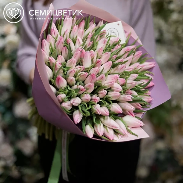 Букет из 101 нежно-розового тюльпана в розовой пленке